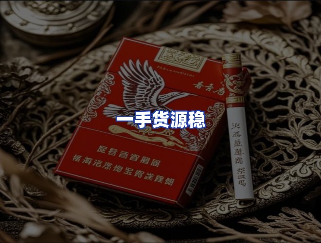 专业团队